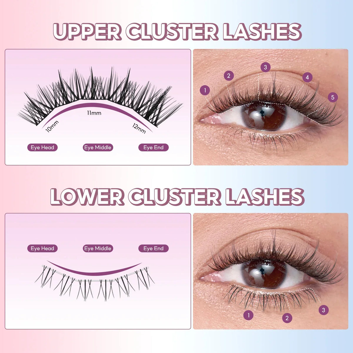FelinWel Sunflower & Flame Cluster Lashes – Upper & Lower for All Eye Shapes