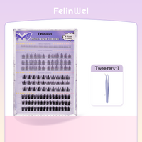 FelinWel 154-Pcs DIY Cluster Lash Kit – 4 Styles, Natural to Mega